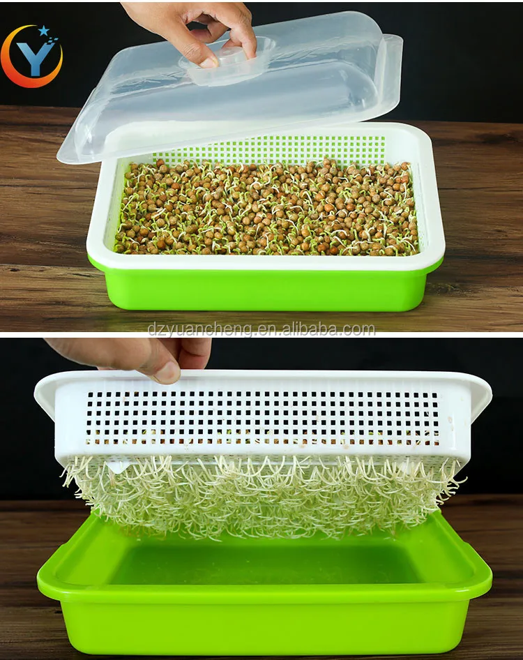 Bean Sprout Growing Machine Plastic Mung Soy Bean Sprout Tray Board ...