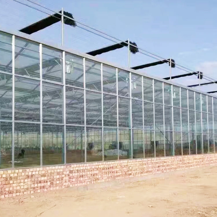 Poly Plastic Greenhouse Roofing Material Hydroponic Growing Systems