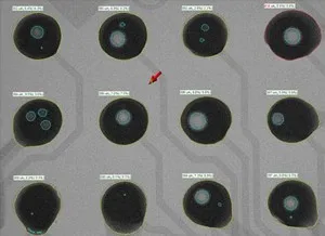 Cold Solder Joint >> High Resolution Smt Industrial Fpc Bga Pcb X-ray Inspection Machine For Multilayer Pcba Pcb ... Cold Solder Joint >> High Resolution Smt Industrial Fpc Bga Pcb X-ray Inspection Machine For Multilayer Pcba Pcb ...