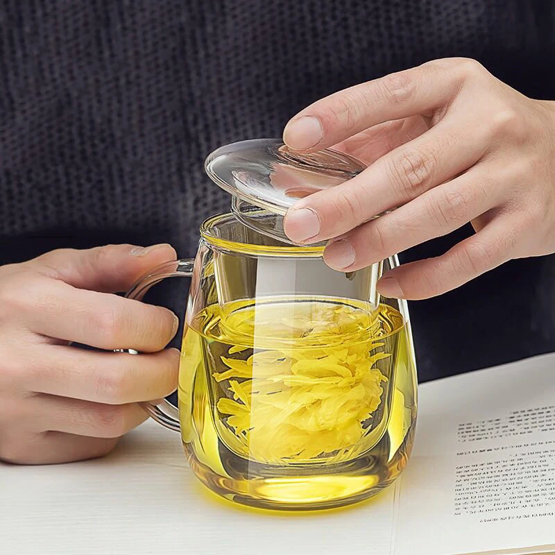 Borosilicate Heat Resistant Class Tea Cup Glass Tea Mug With Filter Handle Infuser Buy Heat