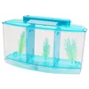 The graceful aquarium fish thailand aquarium fish exporter