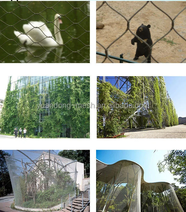 304 Stainless Steel Wire Rope Mesh-14.jpg