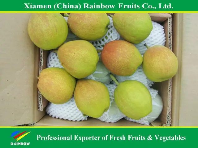 Fragrant Pear (XJ5)jpg