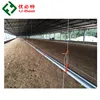 Hot Sale Automatic Poultry Farm Equipments for Feeding and Drinking Chicken Broiler, Hen and Breeder
