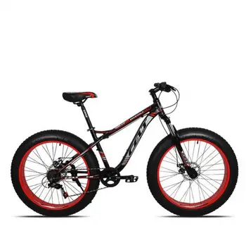 fat kid bike