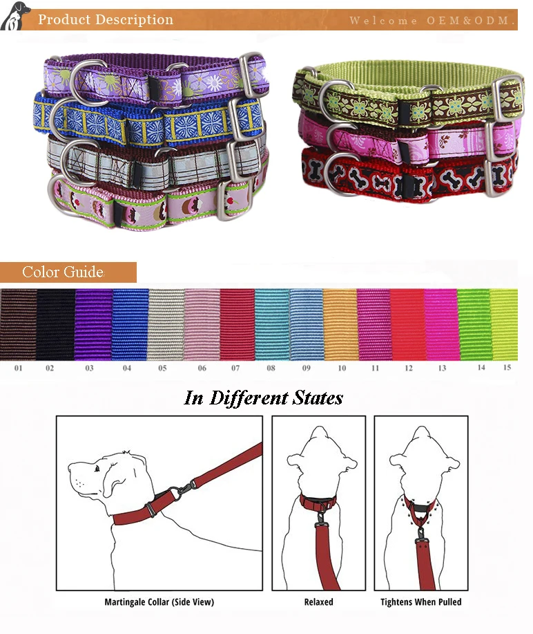 Top Pet Products Dog Cervical Head Collar,Collar Perro Classic Style