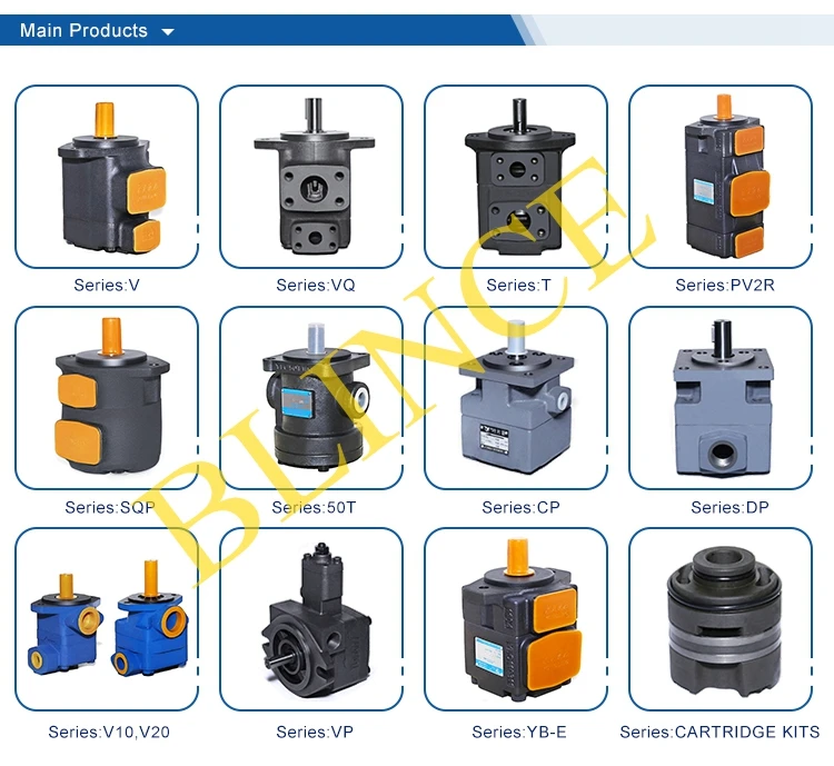 Blince vane pump