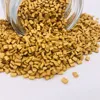 Green masterbatch in polymers