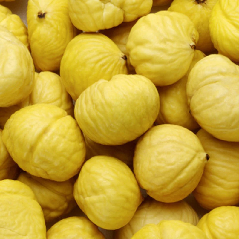 chesnut kernel (1).jpg