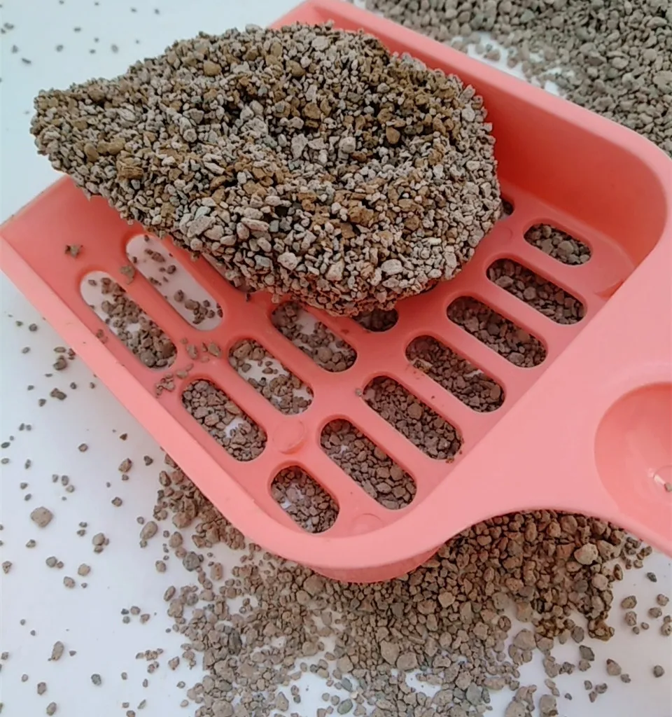 best cat litter sand