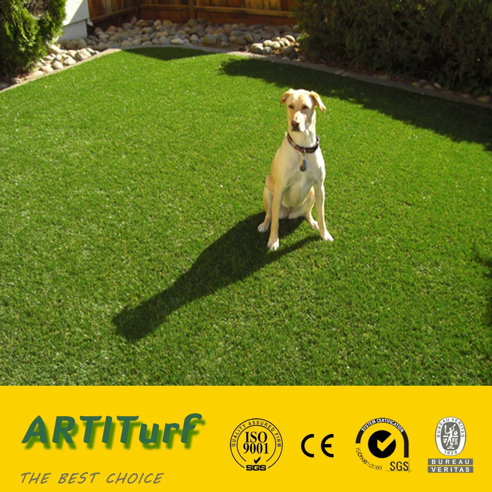natural garden carpet grass, natural garden carpet grass suppliers natural garden carpet grass, natural garden carpet grass suppliers
