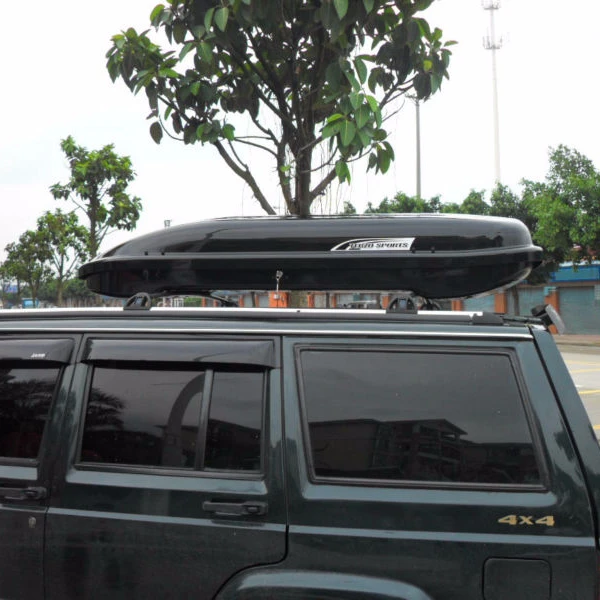 luggage on car roof