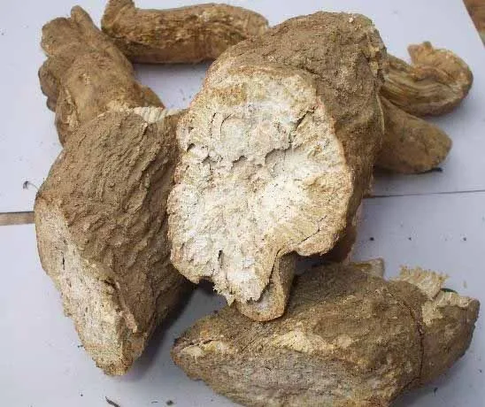 supply natural pure fangchinoline/hanfangchin b powder