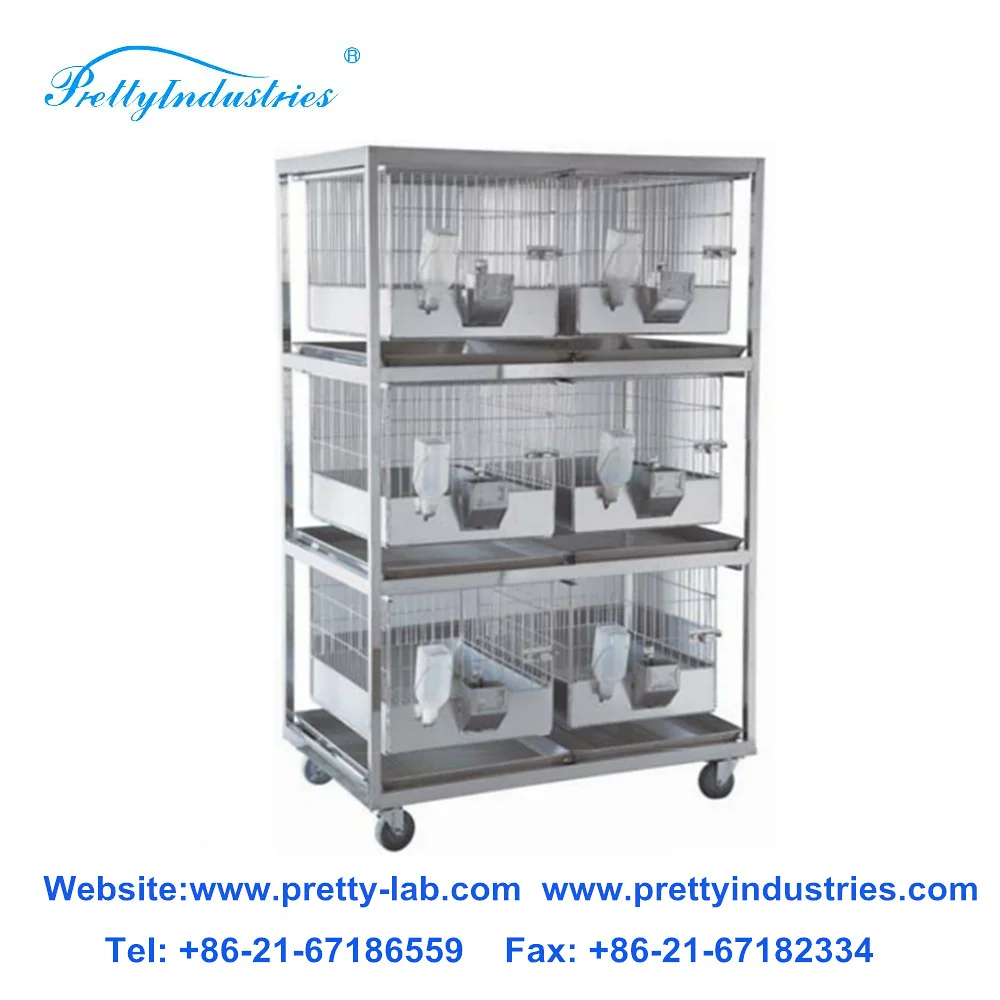 Rabbit Ivc System Polycarbonate Rabbit Cage Individually Ventilated Ivc