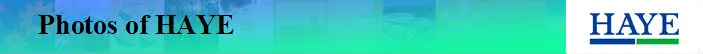HAYE photo.jpg