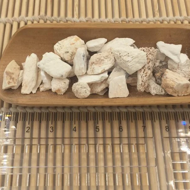 сухие кости для кошек. сухая кость. череп и кости животных в пустыне рисовать. сухой косточки. декальцинированная кость.