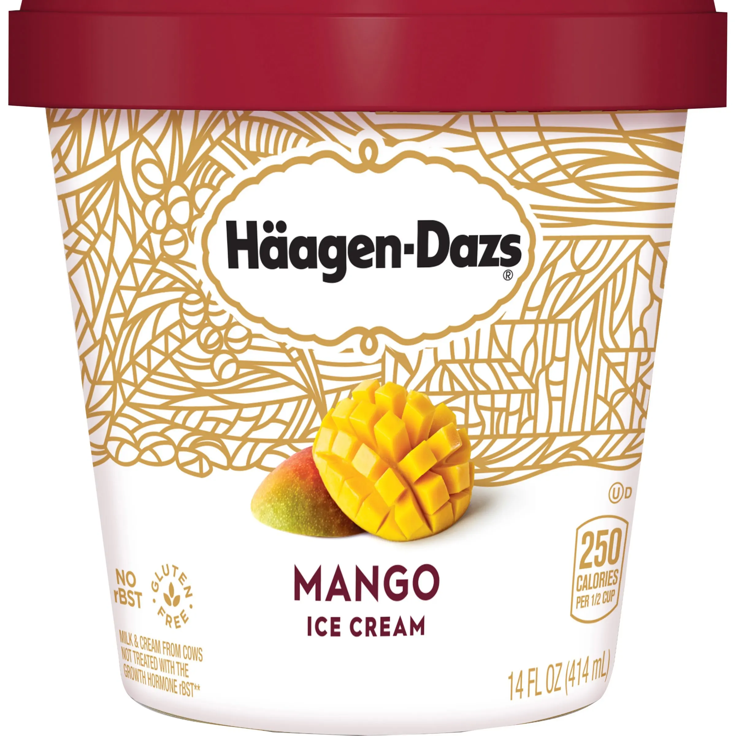 Haagen-Dazs Strawberry <b>Ice</b> <b>Cream</b>, 14 fl oz. 