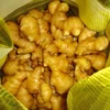 2018 china fresh ginger 150g up in mesh bag Laiwu ginger