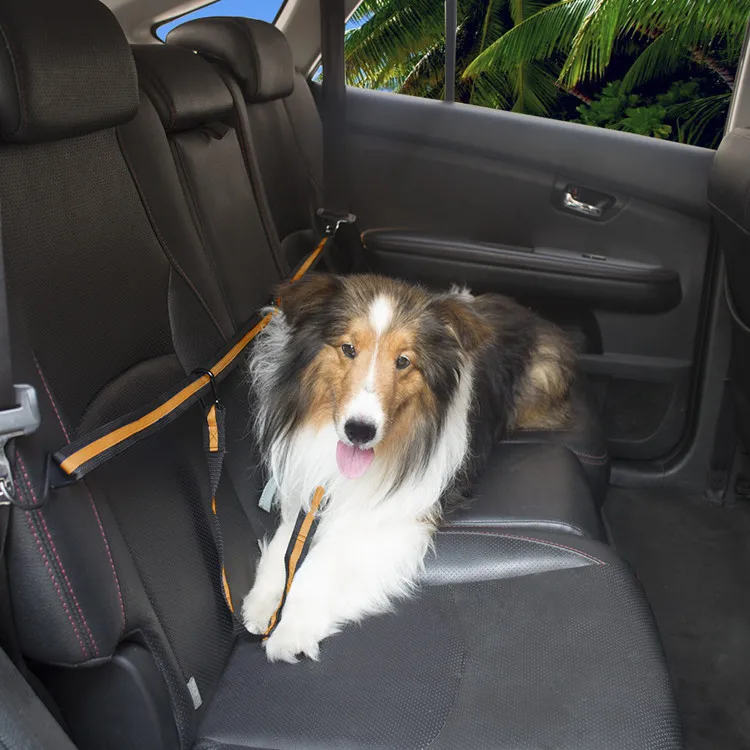 Doggy Car Zipline Restraint + Safety Seat Belt Strap (2 Pack