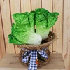 artificial fake vegetable cabbage theatre props