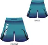 mma fight mixed color shorts fight male fitness kick muay thai short kickboxing fight Trunks