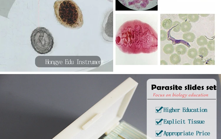 2 42pcs set parasitology microscope slides.jpg