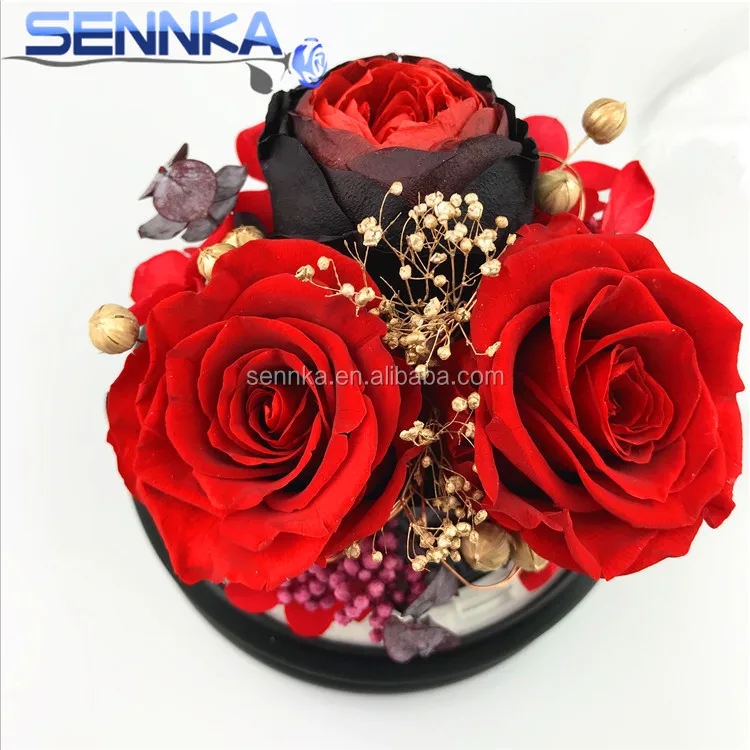 preserved rose (231)