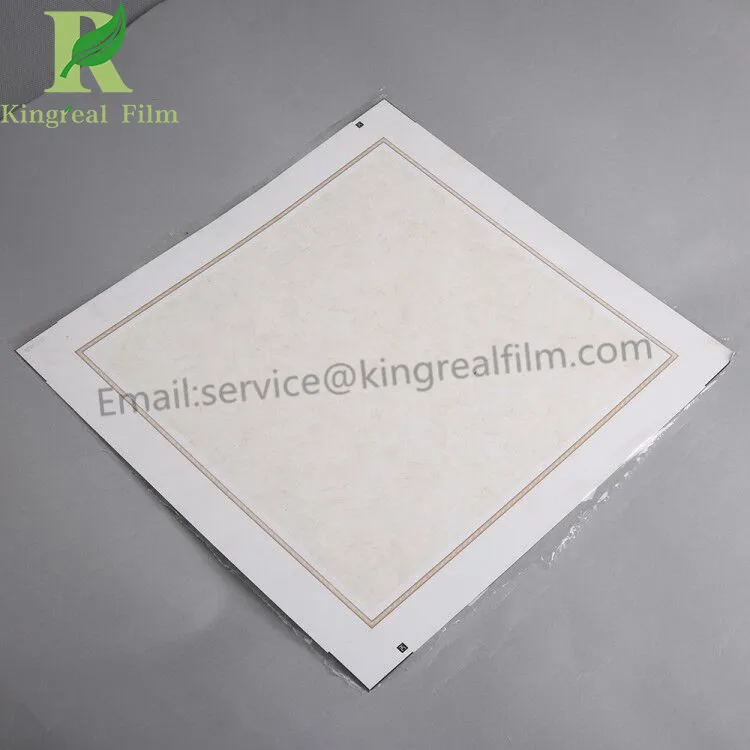 protective film18112705