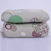 China factory cheap sale stock 1 pcs printed comforter for home use