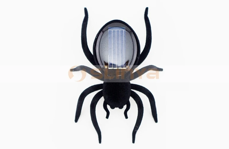 Solar spiders 8032 150108 (1).jpg