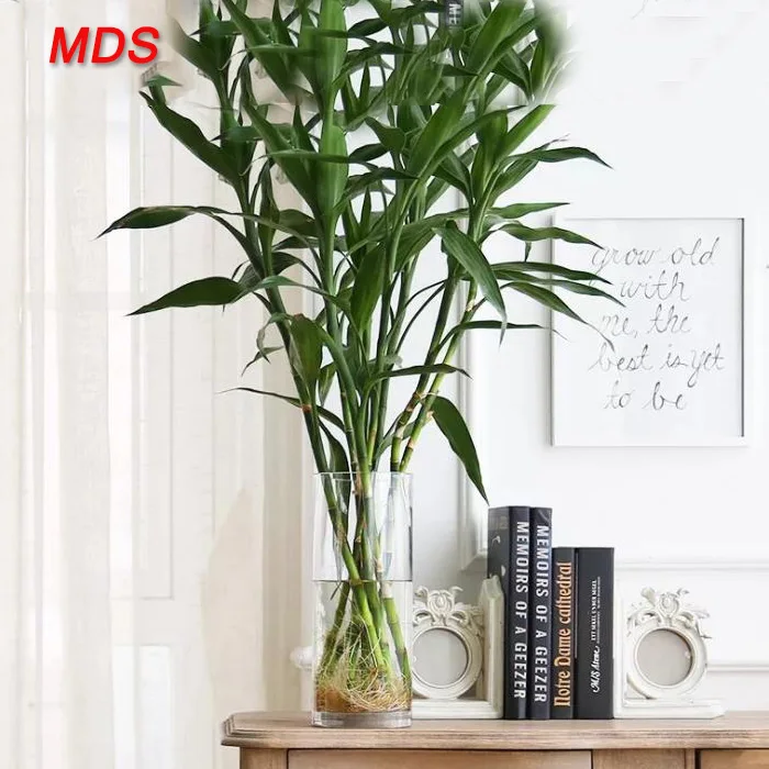Glassware wholesale bohemia crystal cylinder vases