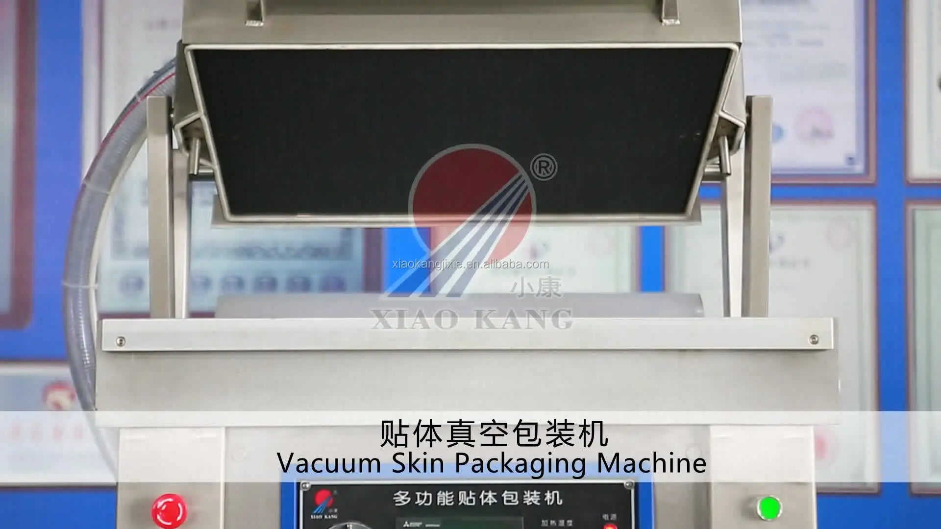 skin packaging (3).jpg