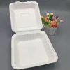 biodegradable packaging bagasse burger pulp lunch box