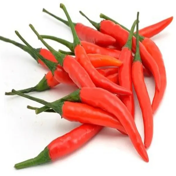 best sale chilli hot pepper seeds / spices pepper seed