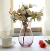 belly shape translucent new wholesale gentle and fragrant Glass Vase