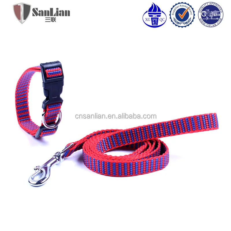 cute dog leads