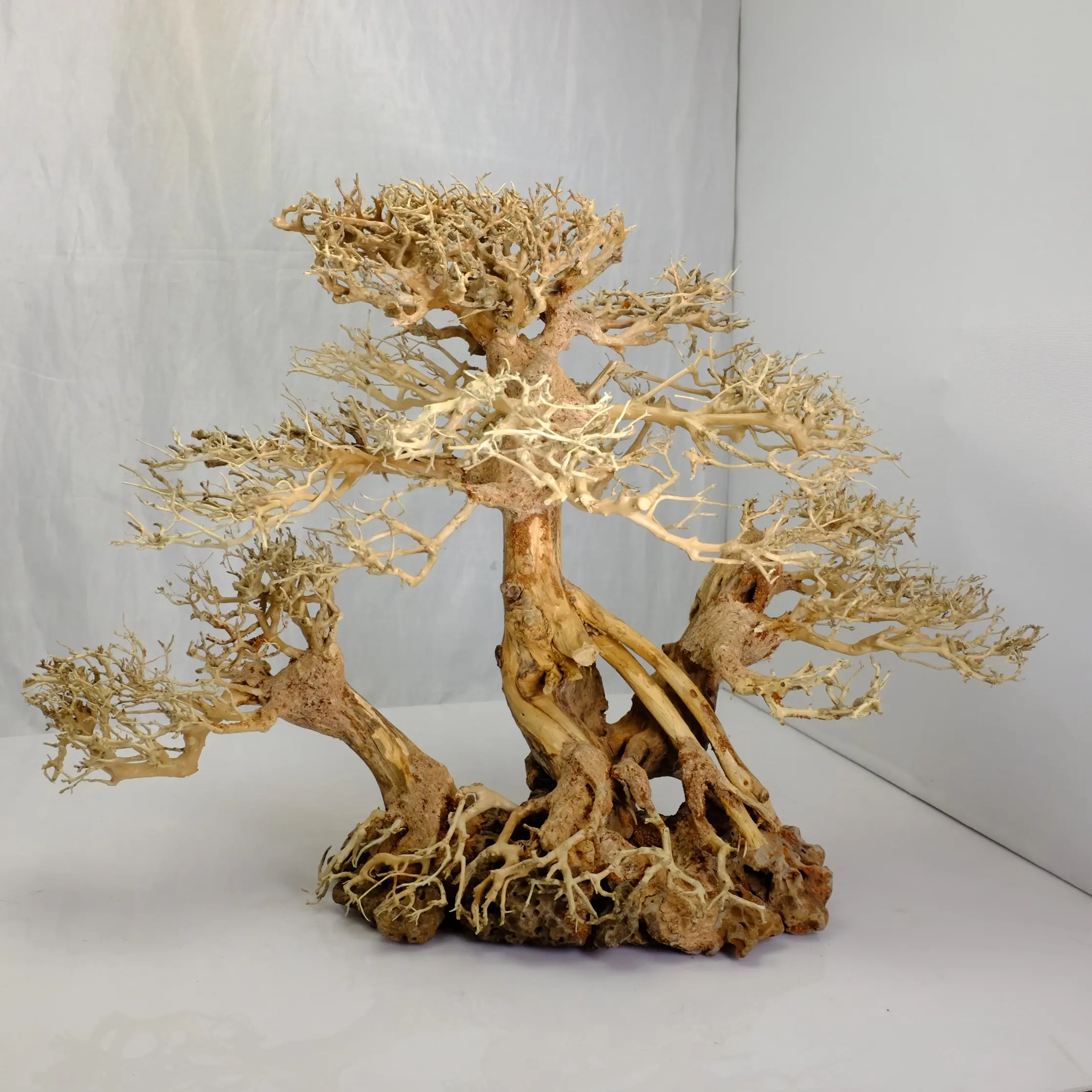 Aquarium Bonsai Tree For Sale - The 3D Home