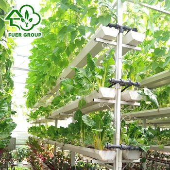 My Hydroponic Garderning Leading Hydroponic Growing Methods In Us