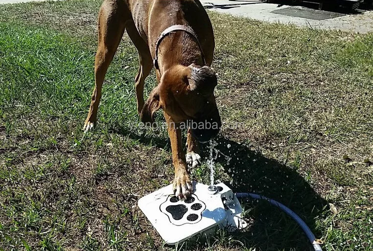 Dog Automatic Feeders Dog Drinking Fountain Styles As Pawcet For Dogs