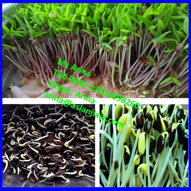 Industrial Black Bean Sprouting Machine Barley Bean Sprout Making Machine Mung Beans Sprout Machine With Good Performance Buy Mung Beans Sprout Machine Barley Bean Sprout Making Machine Black Bean Sprouting Machine Product On