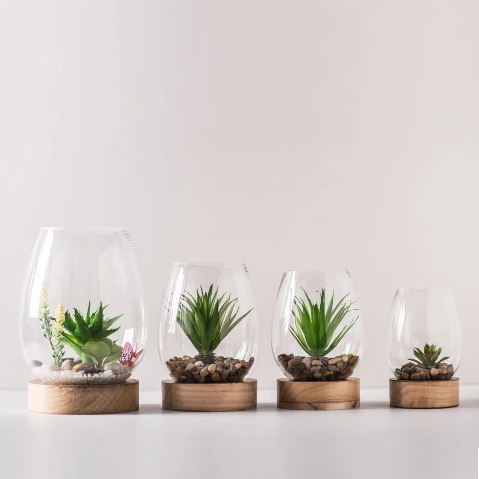 Vase En Verre Transparent Ovale,Terrarium Avec Base En Bois Pour