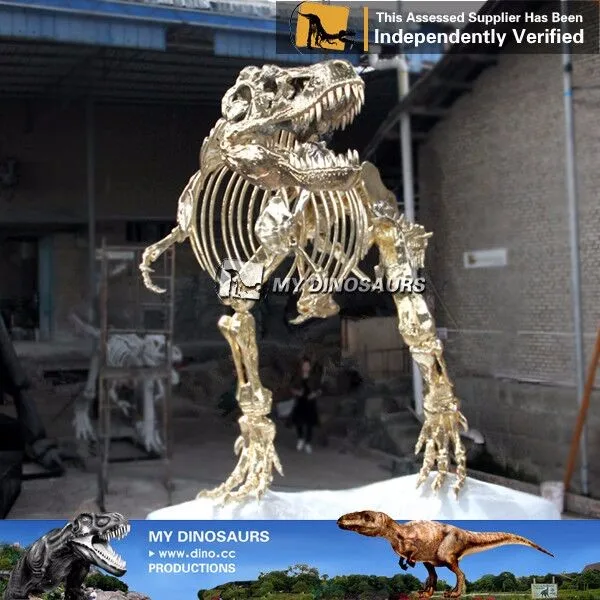 buy dinosaur skeleton