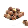 100% Organic Shell Raw Hazelnut / Raw Hazelnut Kernels In Shell