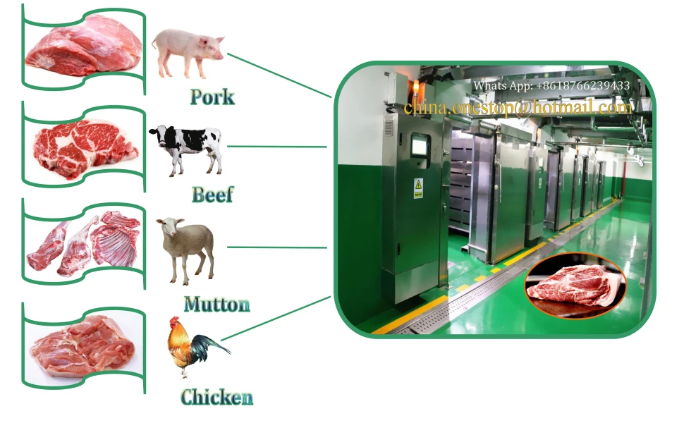 Chicken thawing chamber for defrosting machine frozen meat microwave thawing machine equipment