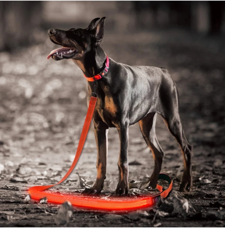 2019 New Trend Pet Supply Factory Flashing Led Dog Lead Cheap Price AIDI Lighted Led Pet Dog Leash  Wholesale