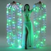 Bestdance Belly Dance LED Light Up Show Fan Veils Bamboo Fans Veils with LED Lights OEM