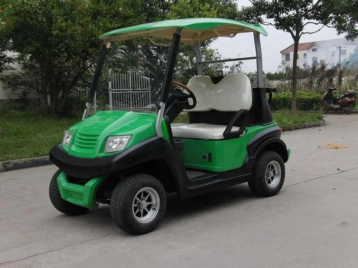 Electric Golf Car,Battery Powered,Chinese Golf Carts Handicapped 2 Person Electric Golf Cart