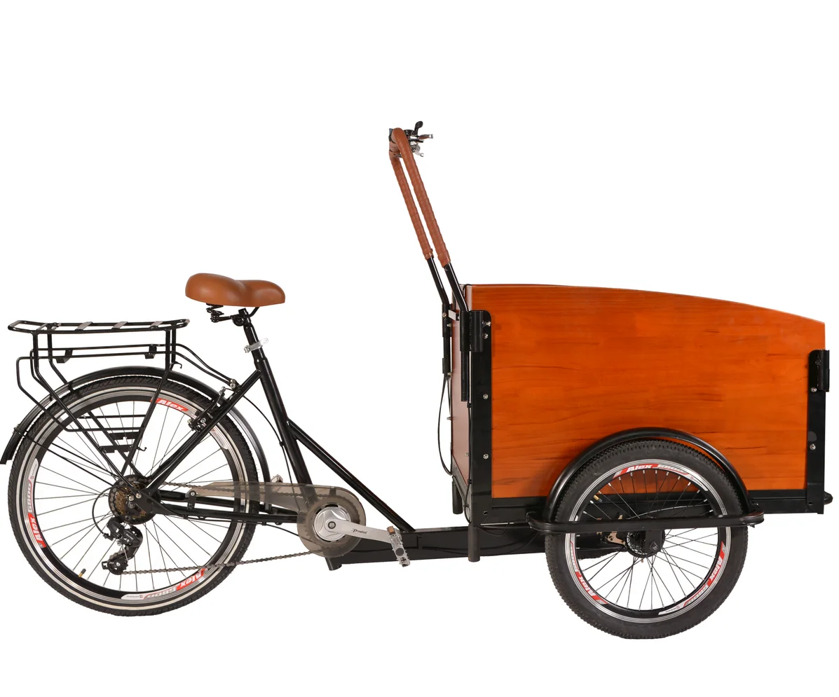 cheap three wheel bicycle