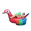 Eco-friendly coloufly PVC cheap price inflatable water toys pool parrot floats