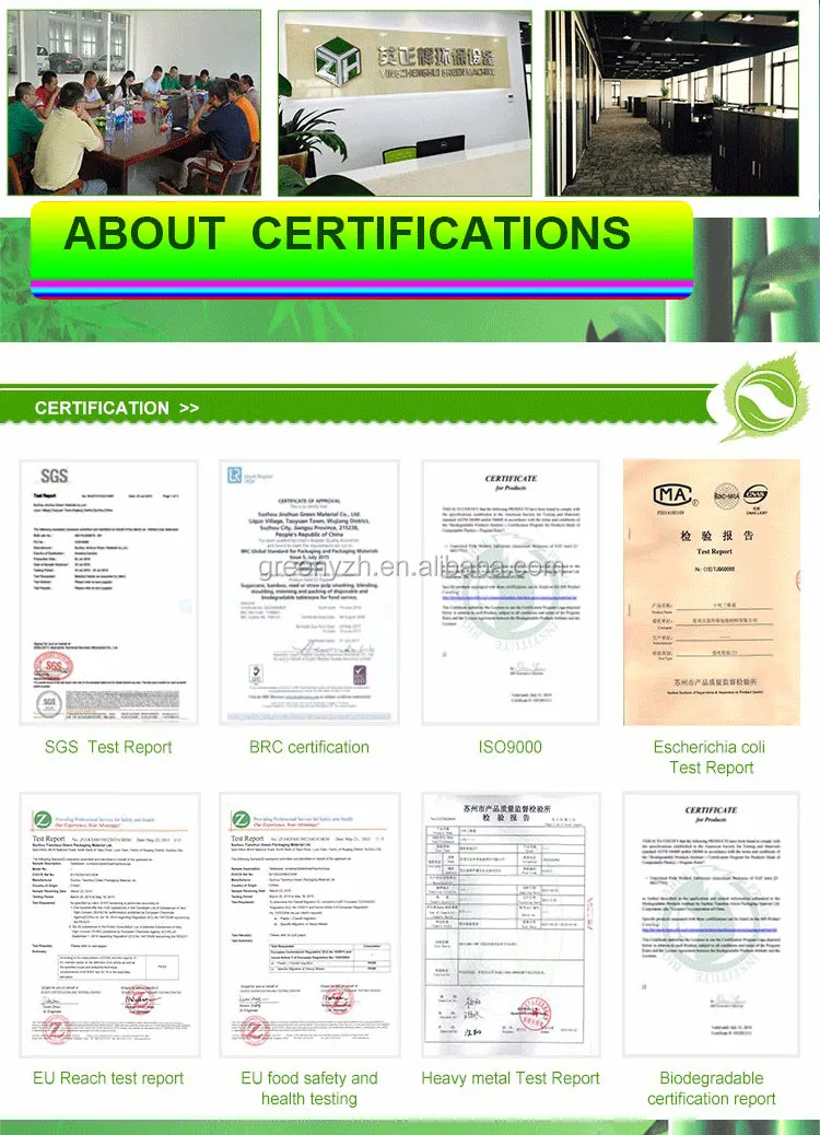 Biodegradable Disposable Tableware Paper Dishes Sugarcane Bagasse Food Box